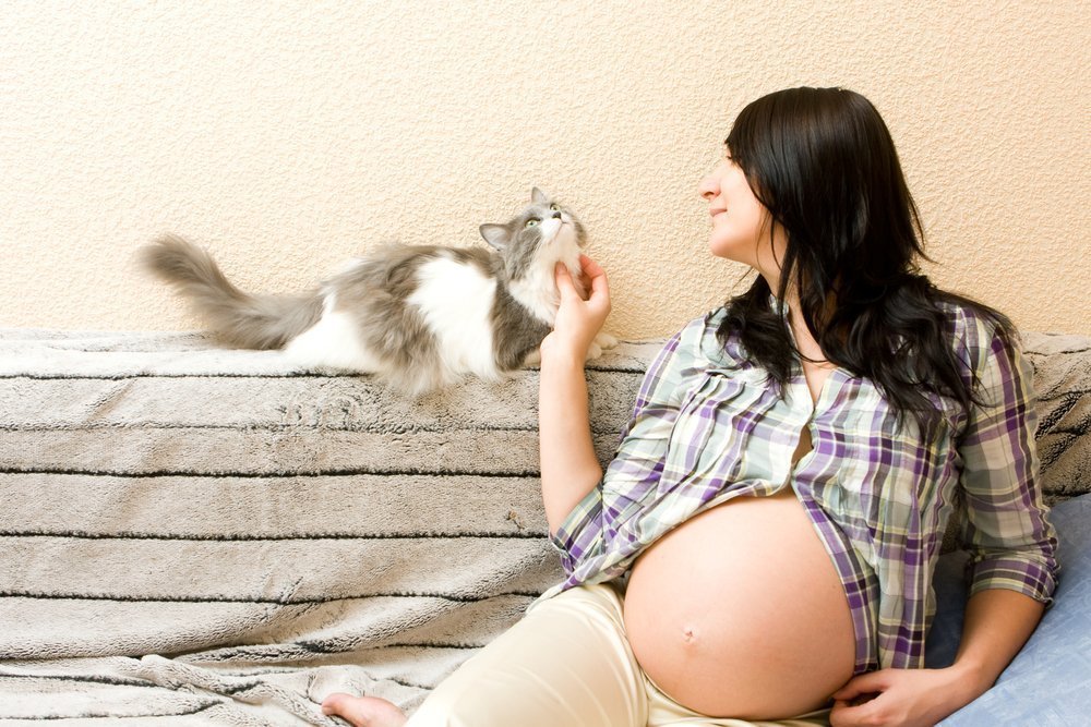 Чем опасны когти кошек при беременности
