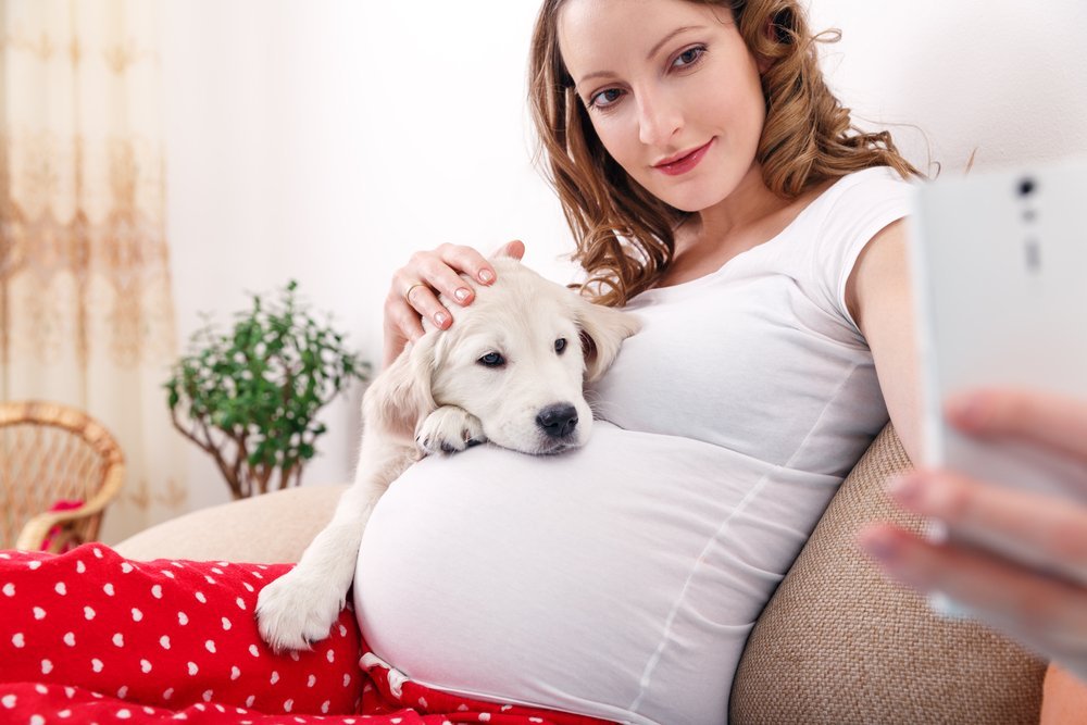 Профилактика заболеваний: как прожить счастливую беременность, не беспокоясь о заражении