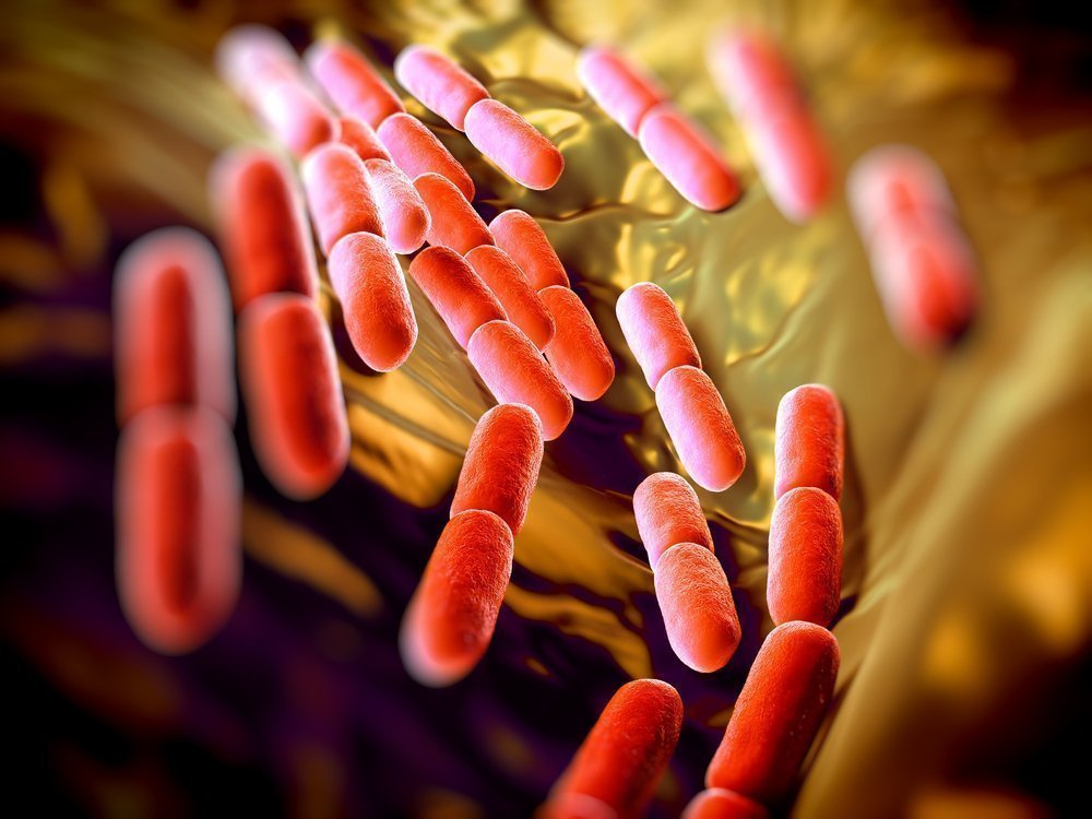 Какие бактерии и вирусы вызывают ОРЗ