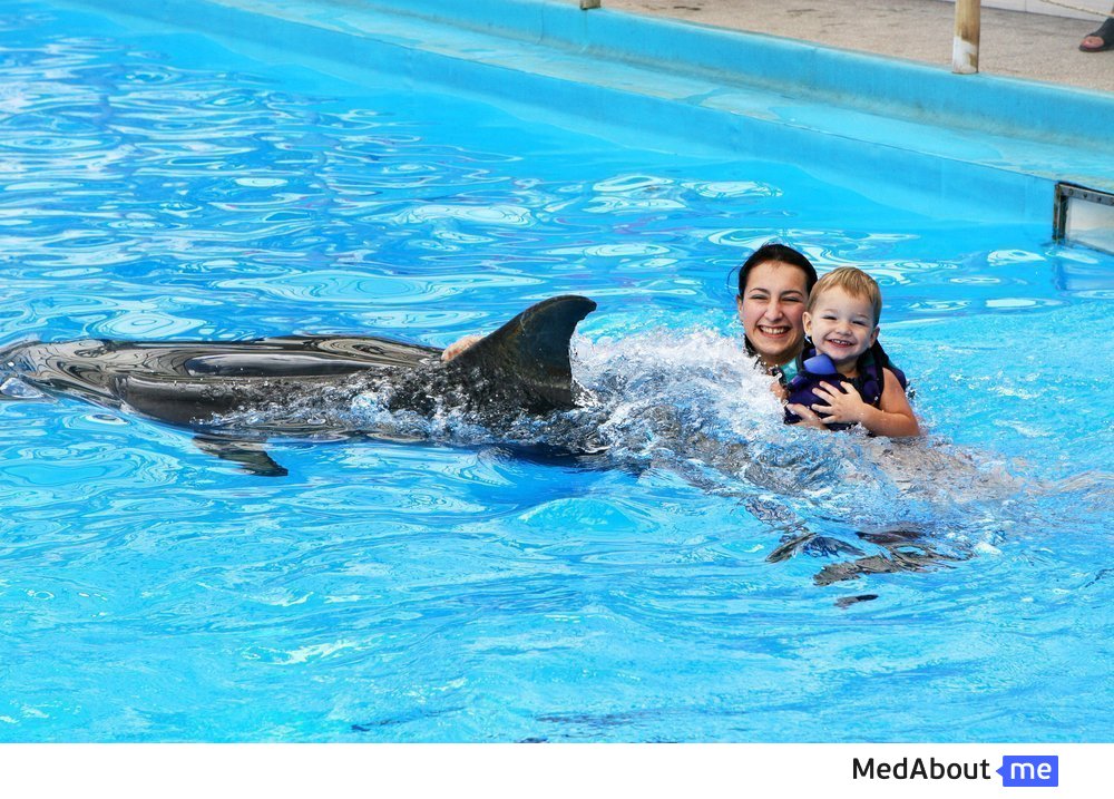 Анималотерапия: дельфины, их лечебные свойства