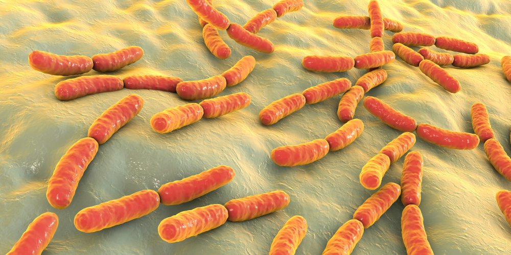 Какие бактерии можно подхватить, нарушая правила гигиены