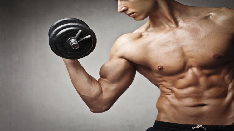 Фитнес-тренировки для мускулатуры верхней части тела