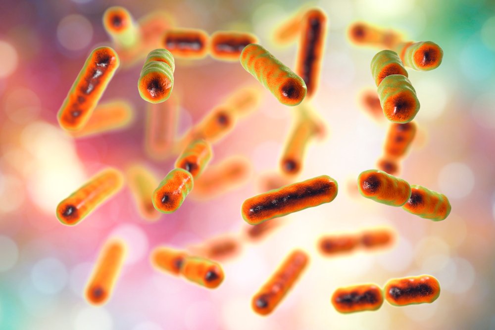 Бактерии человека клебсиеллы
