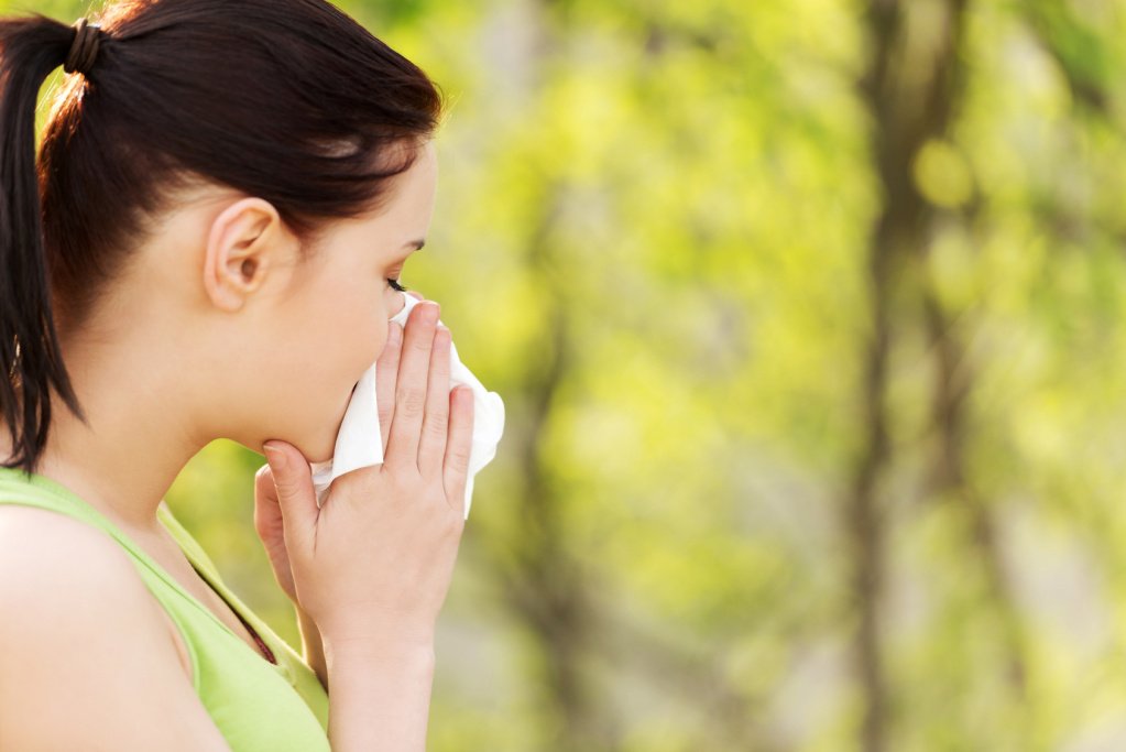 Причины поллиноза и растения, вызывающие аллергию