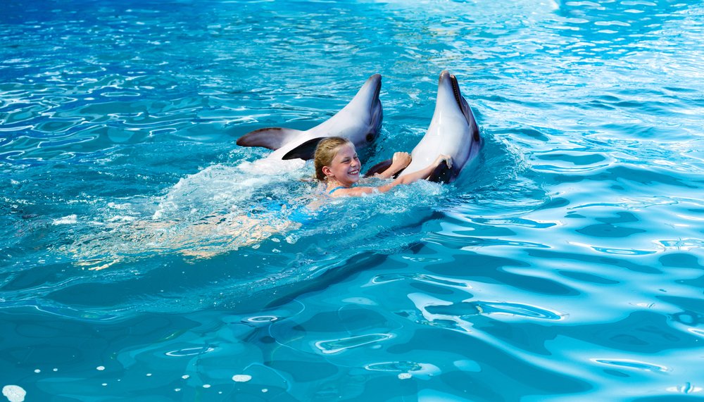 Положительные эмоции и другая польза плавания с дельфинами