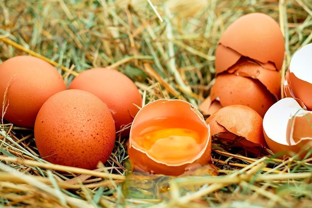 Основные причины исключения куриных яиц из рациона питания
