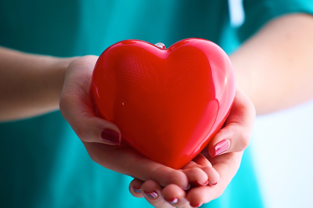 Работа органа: предсердия, желудочки сердца и электрическая система