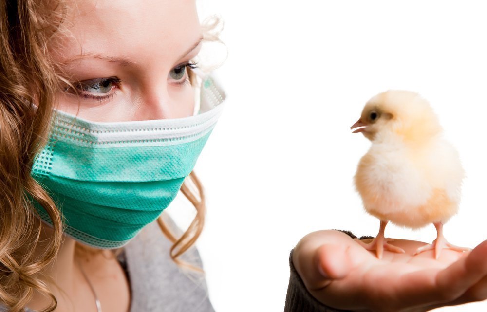 Секрет заразности птичьего гриппа