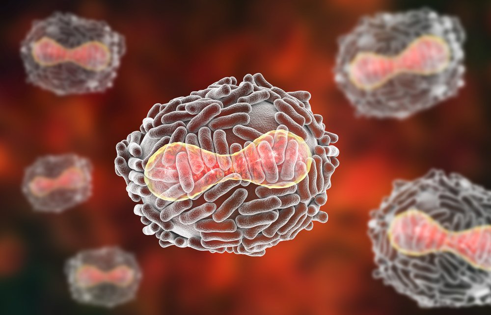 Вирус натуральной оспы: особенности инфекции