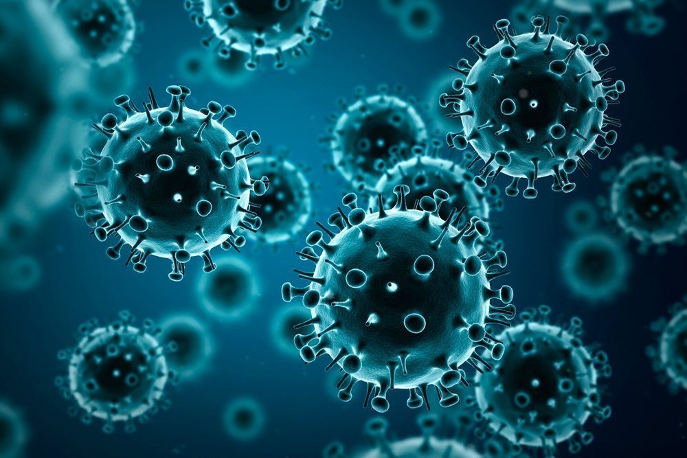 Сколько живет вирус гриппа?