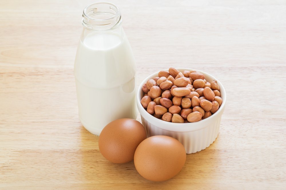 Protein Content In Eggs Diet 4