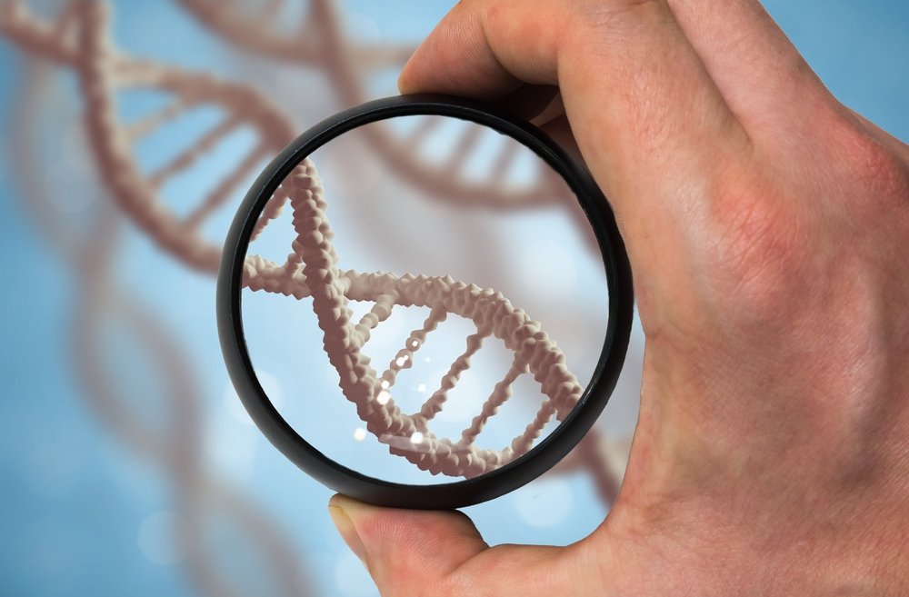 Что такое гены и о чем они могут «рассказать»?