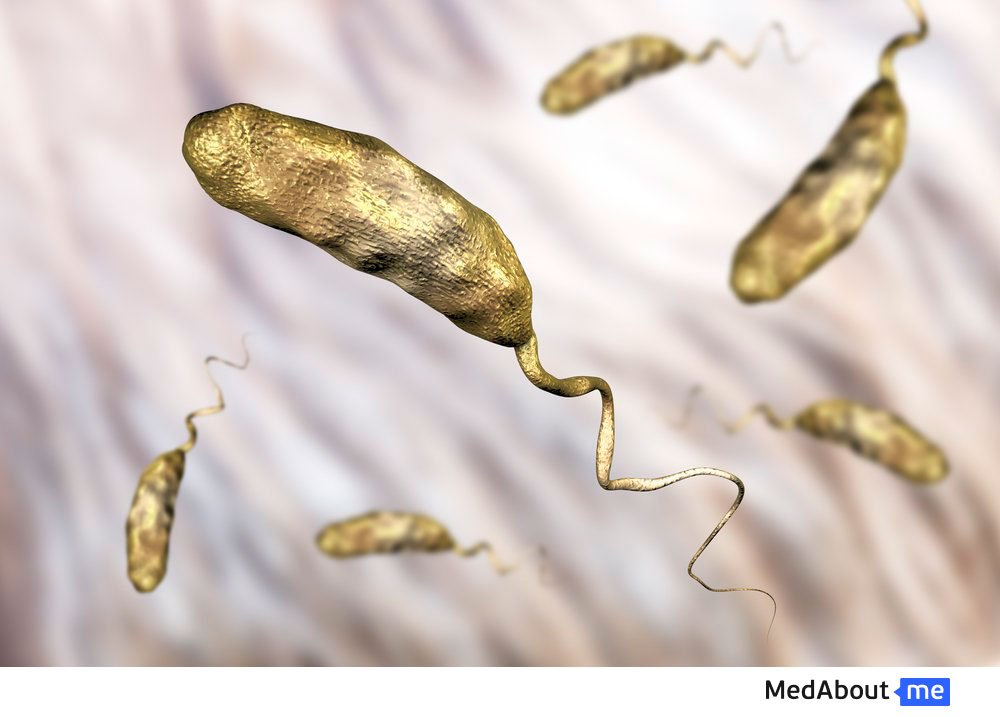 Патогенность бактерии холеры