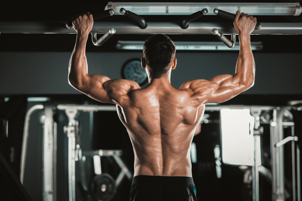 Какие мышцы работают при подтягивании?