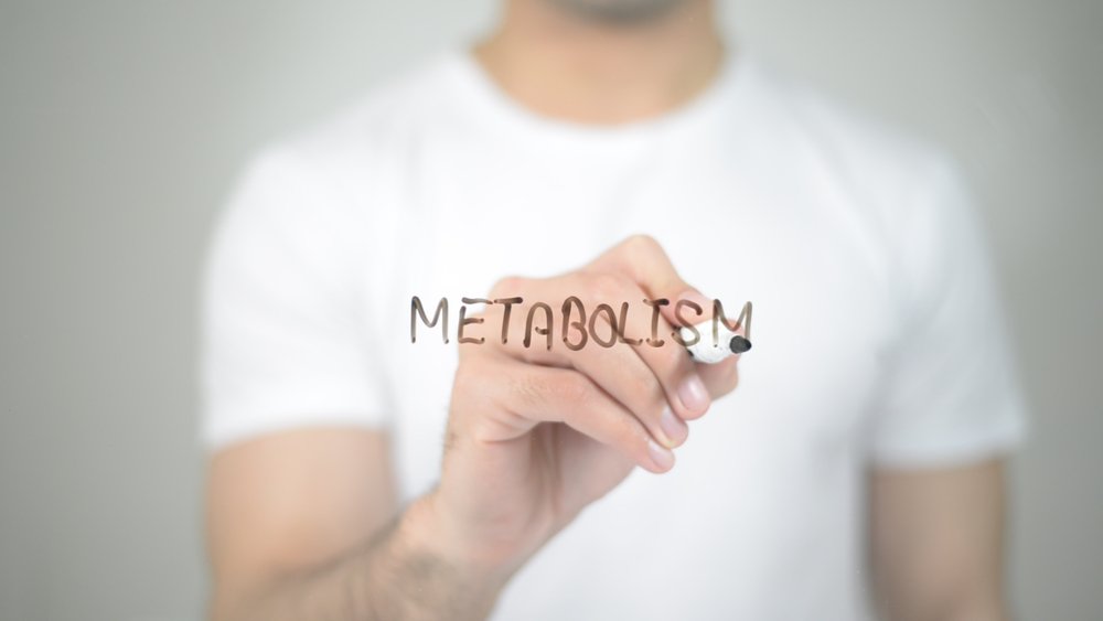 Метаболизм и обмен веществ