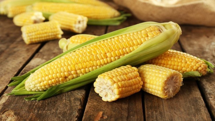 Полезные углеводы кукурузы
