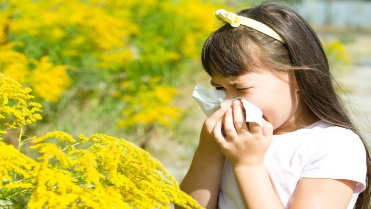 Симптомы аллергии на пыльцу