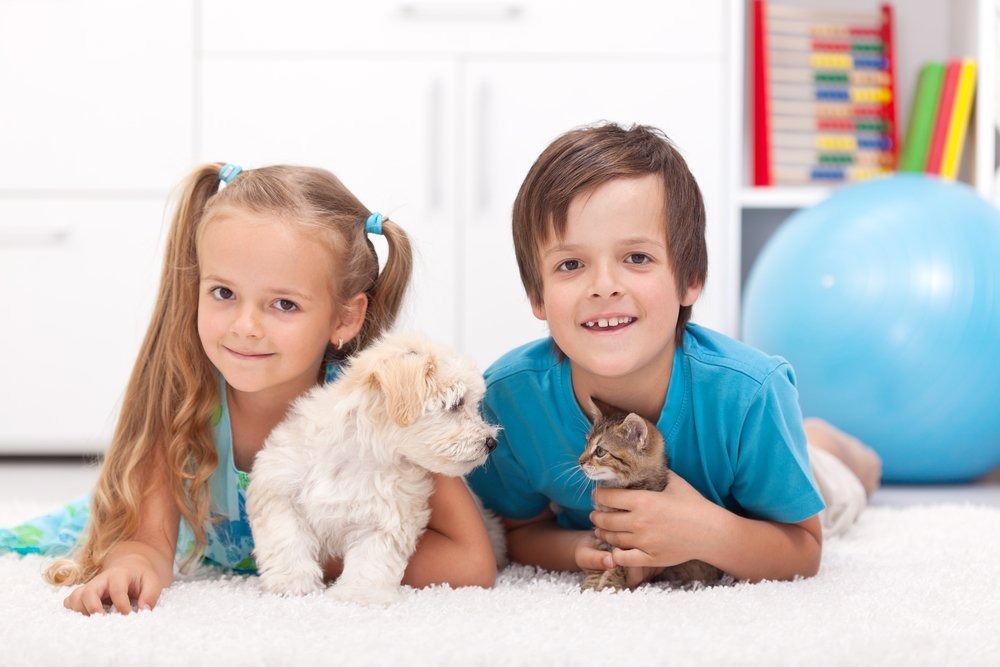 Отрицательные стороны содержания животных в доме и взаимодействия детей с ними