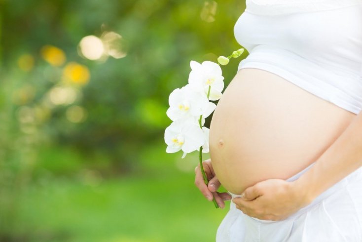 Образ жизни и питание беременных. Здоровый образ жизни во время беременности