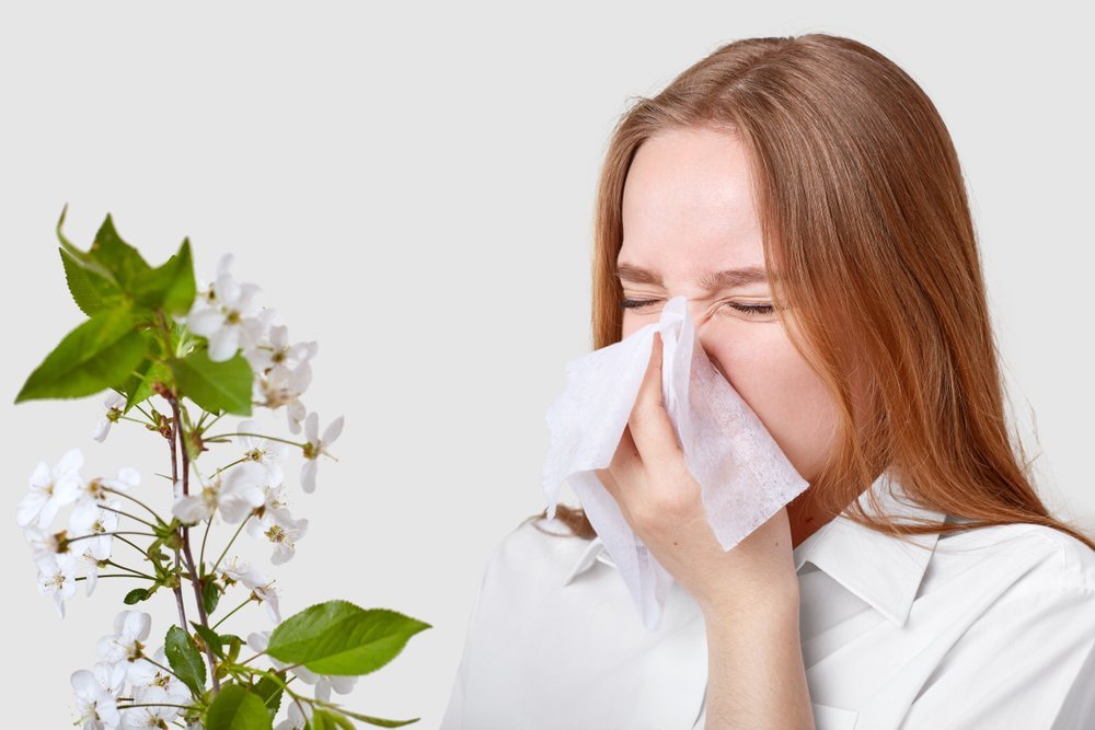 Летний насморк. Респираторная аллергия. Аллергия чихание и насморк лекарство. Поллиноз чихание.