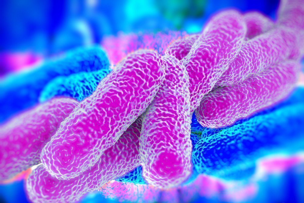 Chlamydophila pneumoniae, определение ДНК (метод ПЦР) что значит этот