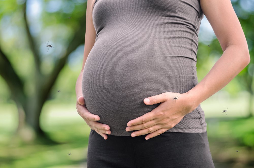 Комары и мухи при беременности и в родах