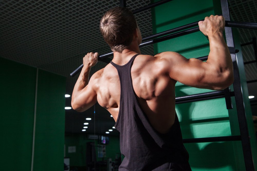Работа мышц спины во время занятий фитнесом с подтягиваниями