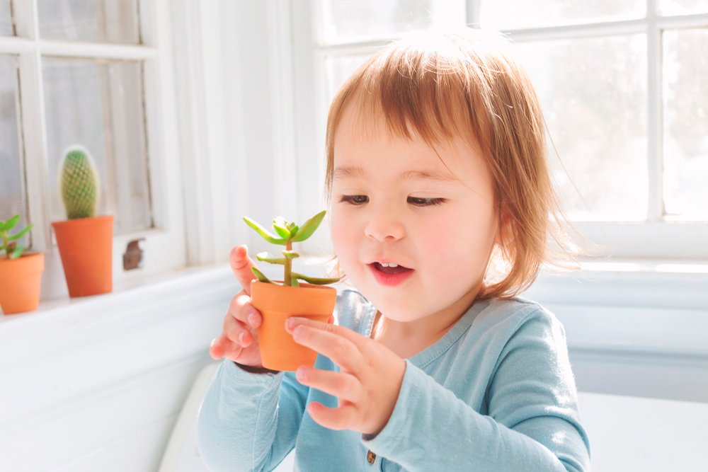 Дети и растения