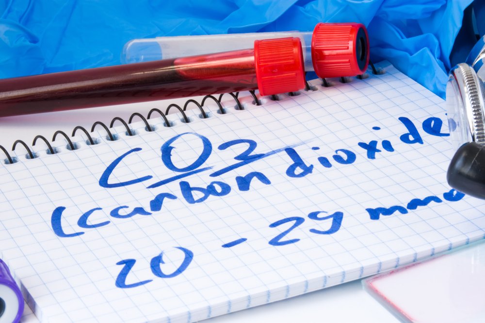 Что будет если дышать углекислым газом