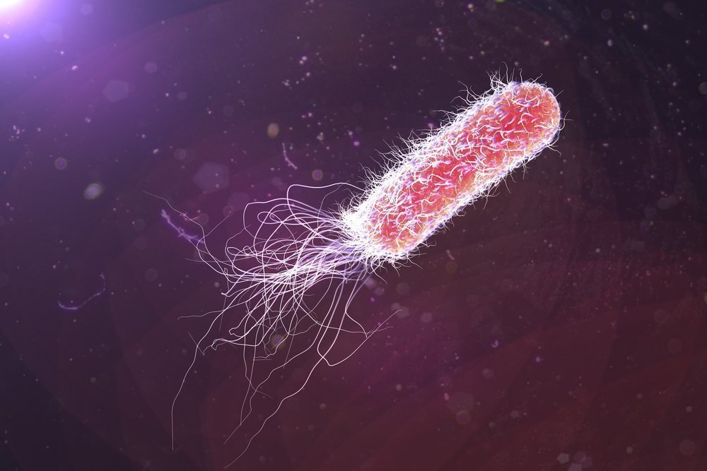 Возбудители диареи: бактерии, вирусы и простейшие