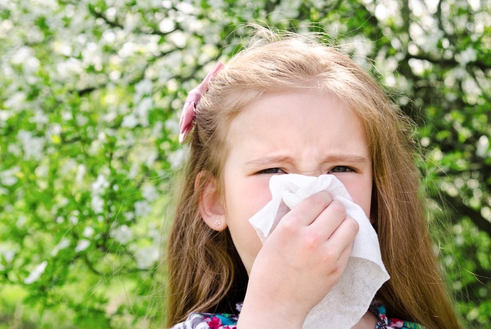 Поллиноз — аллергия на пыльцу трав и деревьев