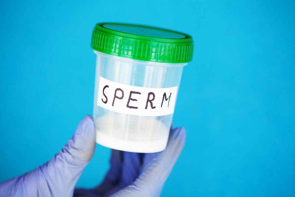Сперма — ценный источник белка, витаминов и минералов