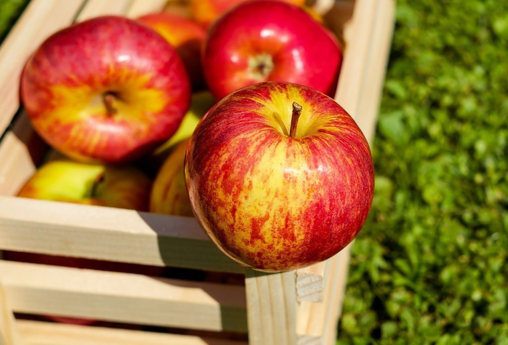 Яблоко — продукт питания для хорошего настроения