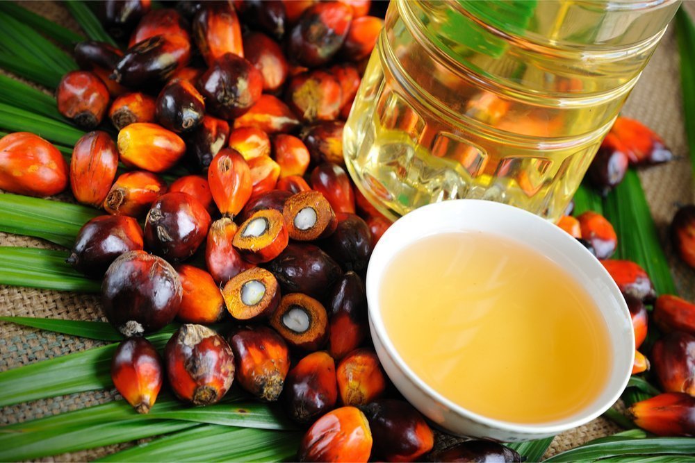Пальмовое масло и обмен веществ