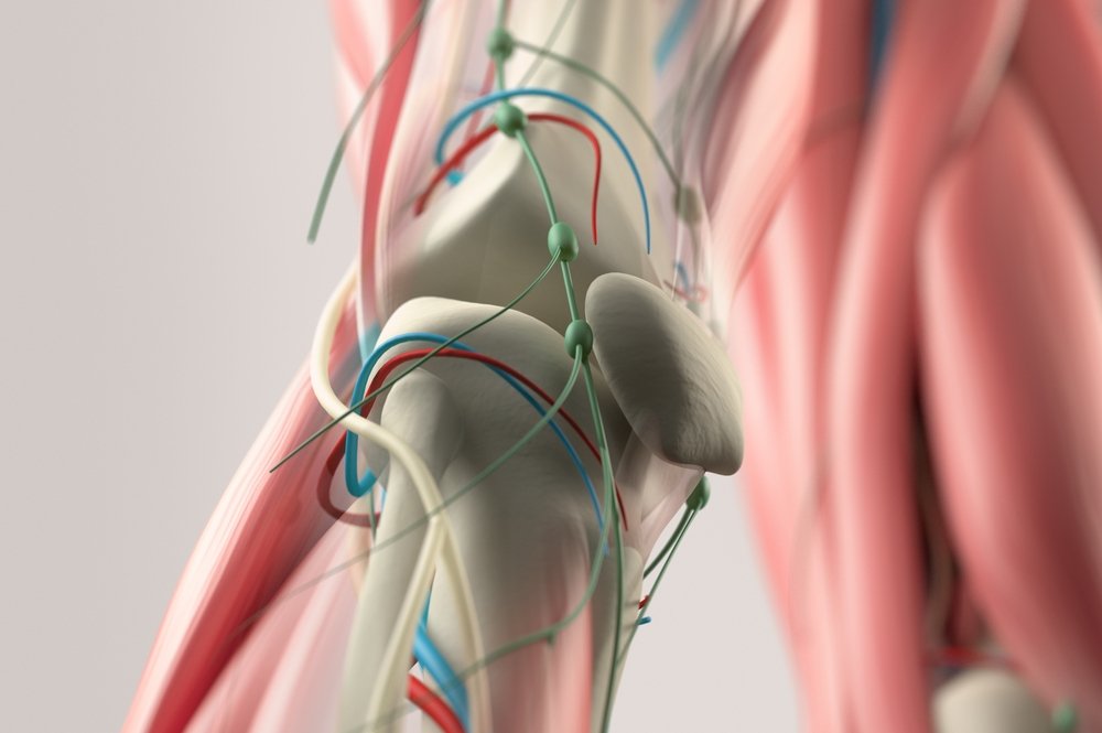 Строение колена и вероятные причины хруста и болей в суставах