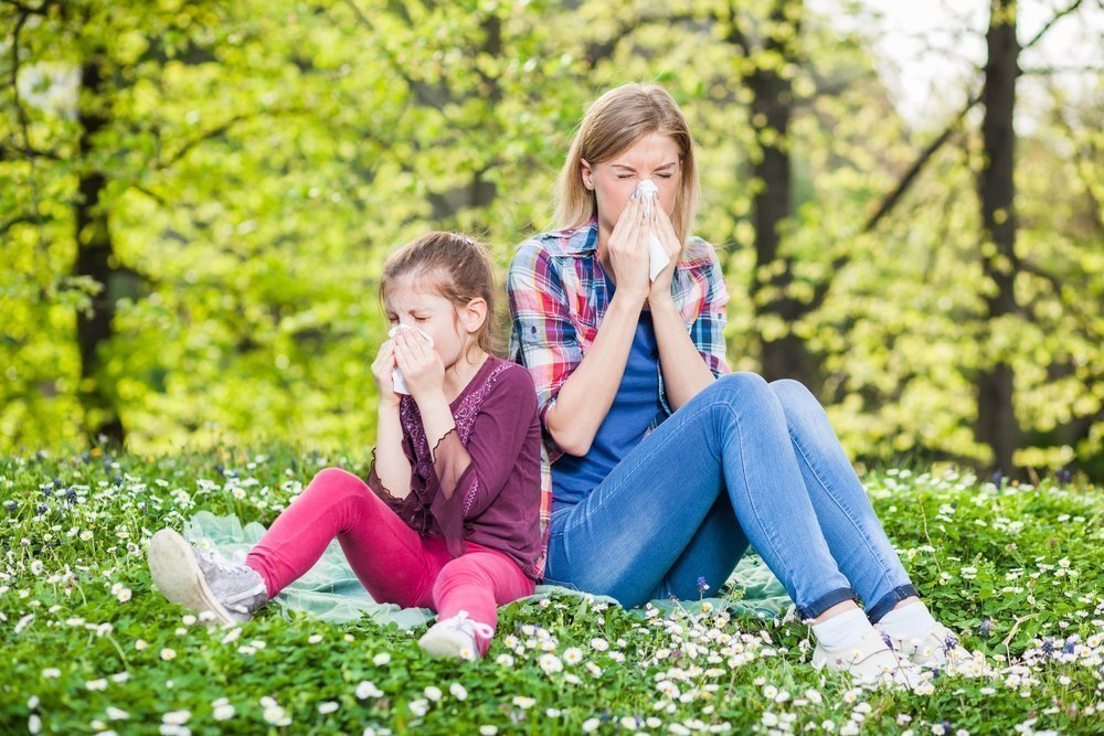 Запись к аллергологу: как лечат аллергию?