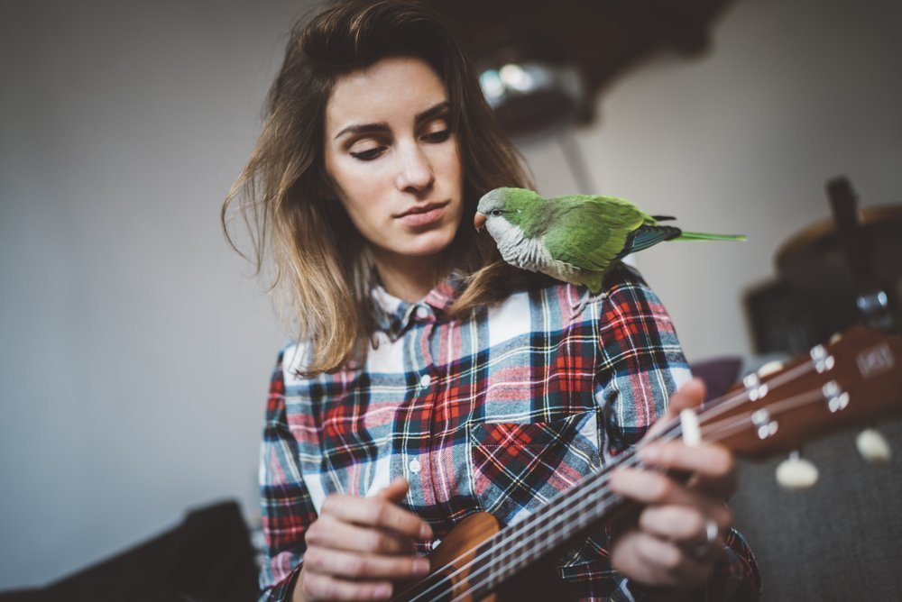 Интересное хобби для женщин: общение с попугаем