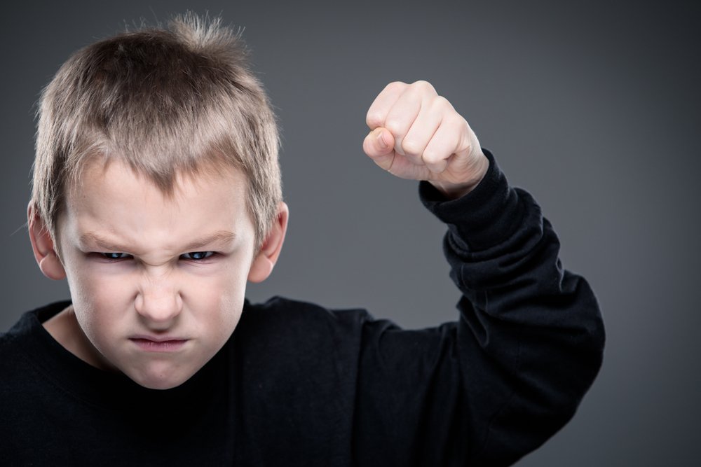 Признаки агрессивности у маленьких детей