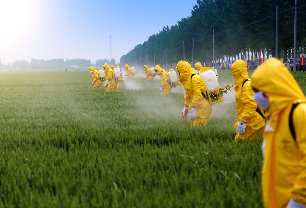 Влияние пестицидов на развитие онкологических заболеваний