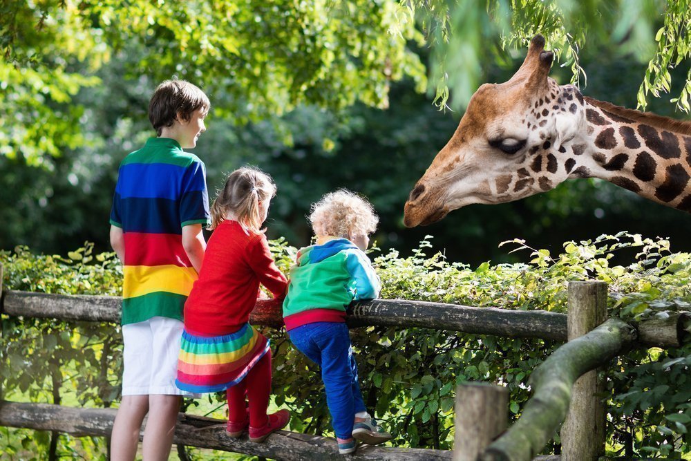 Дети в зоопарке москва фото