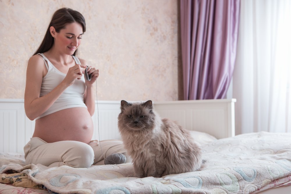Насколько опасны кошки для развития ребенка?