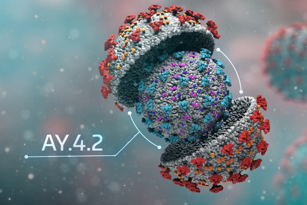 AY.4.2 – новый вариант коронавируса SARS-CoV-2