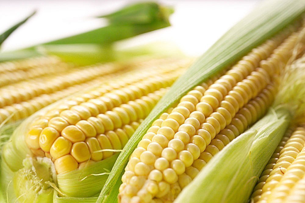 Кукуруза в здоровом питании