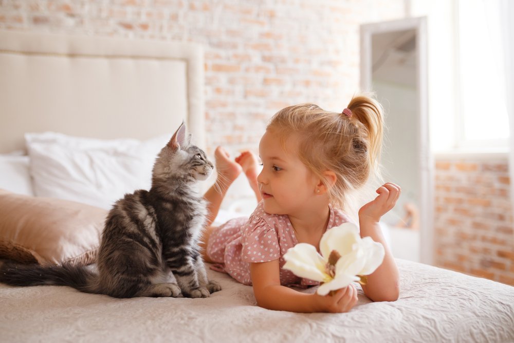 Какой инфекцией может наградить человека кошка?