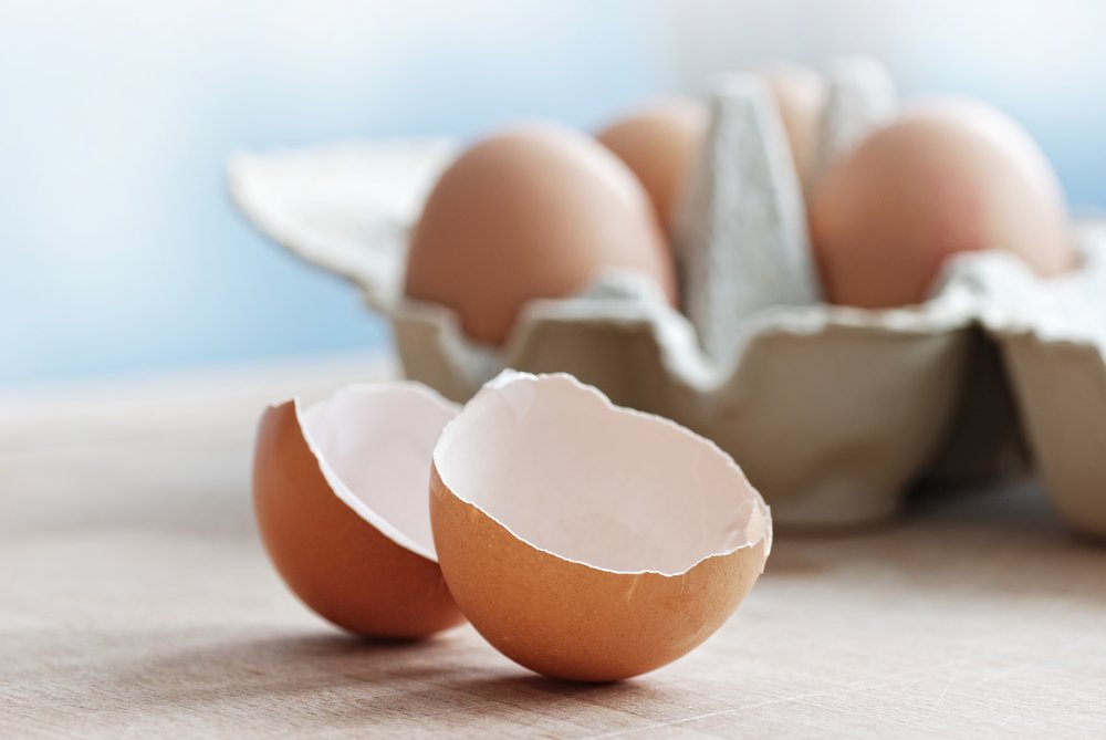 Сырые яйца – продукты питания, полезные для вокалистов