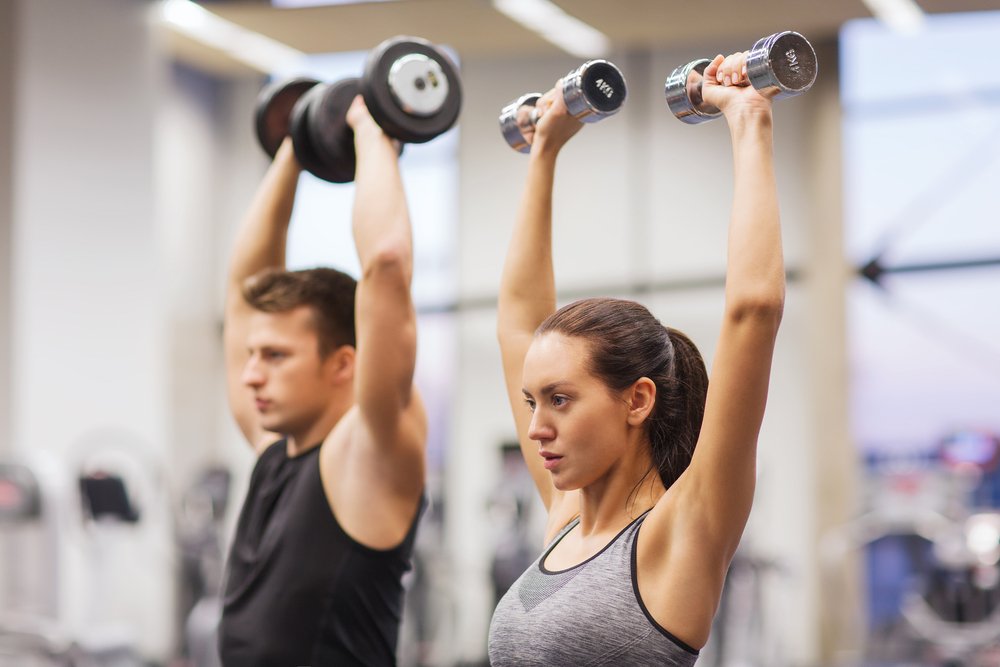Эффективные упражнения на все группы мышц