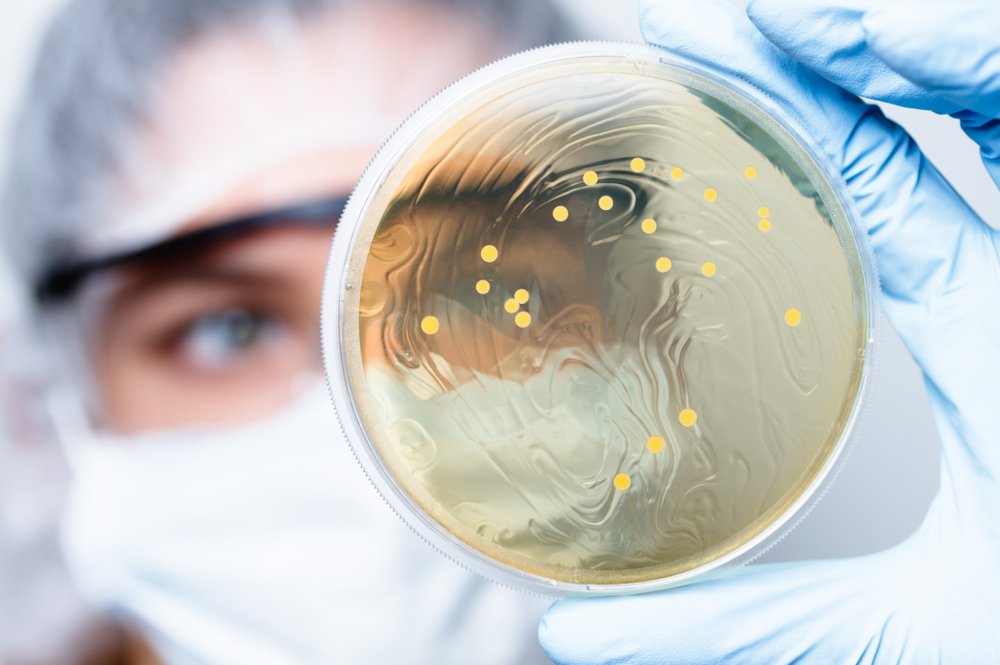 Зачем нам нужны эти бактерии?