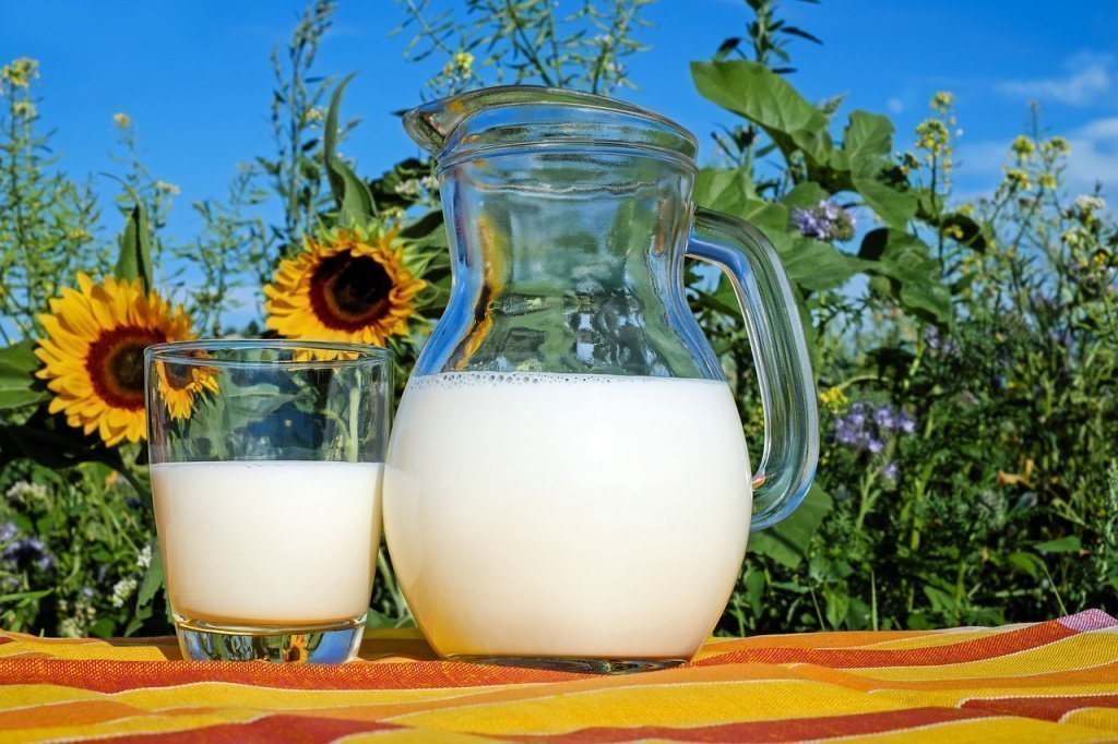 Молоко и молочные продукты питания