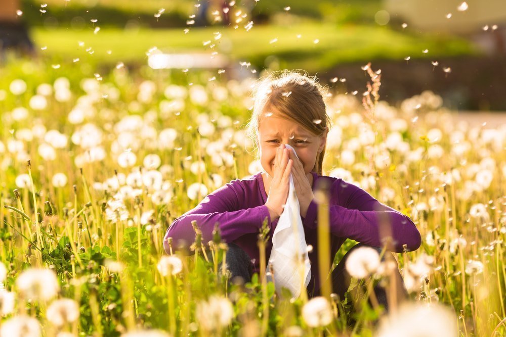 Аллергия и приступы бронхиальной астмы