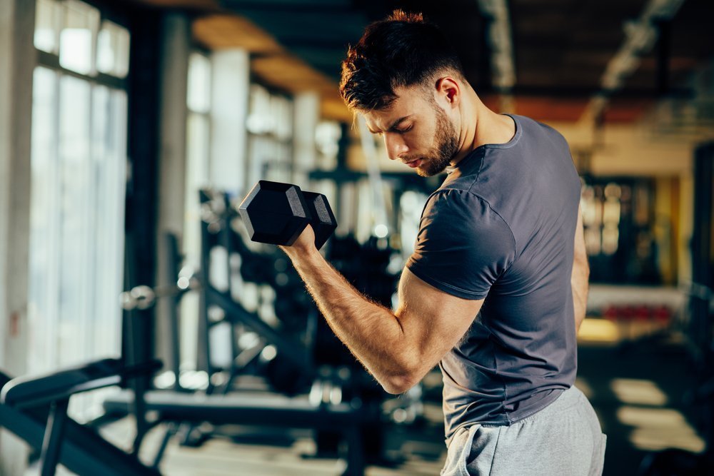Мышцы и суставы, участвующие в упражнении